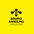 Bruno Anselmo Apicultor